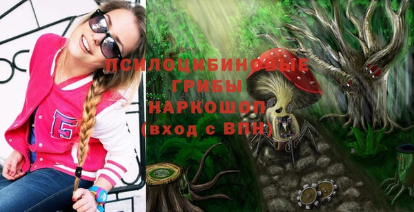 мет Краснослободск