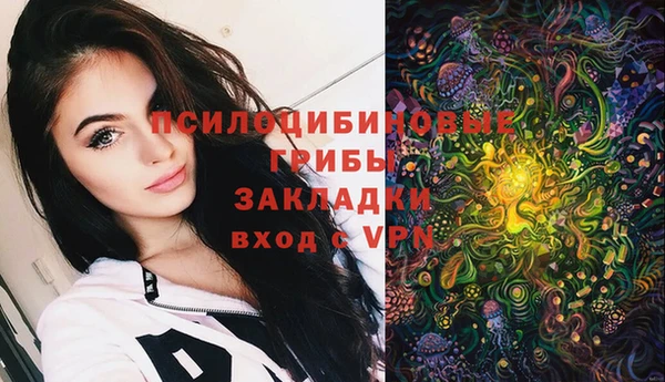 бошки Корсаков