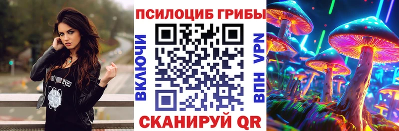 Купить  Короча  Галлюциногенные грибы Magic Shrooms 